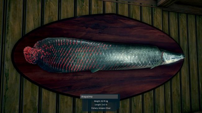 Ultimate Fishing Simulator Amazon River DLC Guide