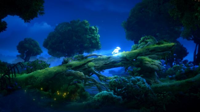 Ori and the Will of the Wisps Save Game Location