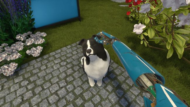 House Flipper Pet DLC Achievement Guide