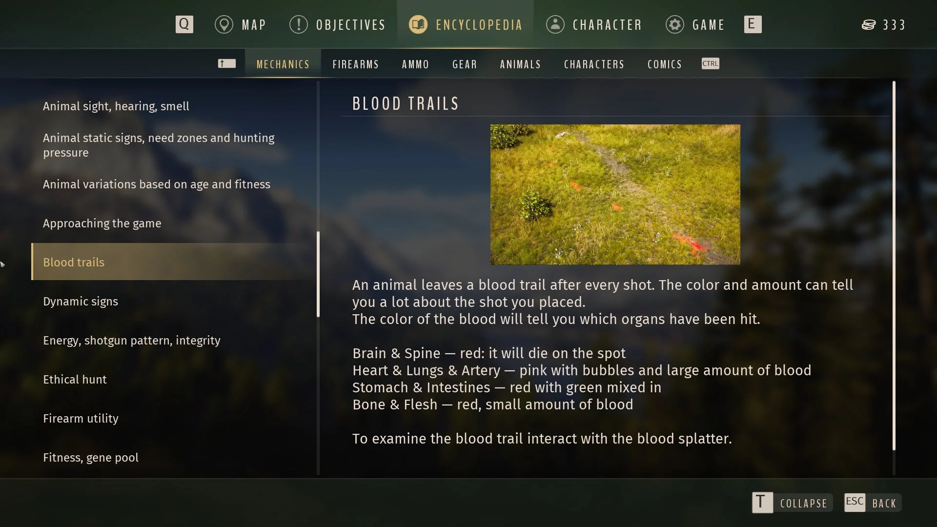 How to track a blood trail ...-1 How to track a blood trail ...-1