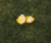 Treasure of Nadia Walkthrough Guide