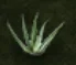 Treasure of Nadia: Plants Guide
