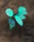 Treasure of Nadia: Plants Guide