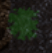 Kilroy's Guide to Treasure of Nadia-605