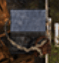 Kilroy's Guide to The Genesis Order