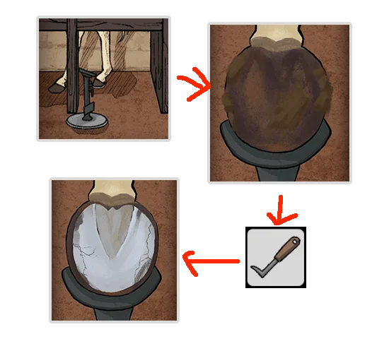 Level Guide Level Guide
