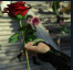 Lilith Rising | Complete Guide | Achievements | Scenes | CGs