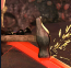 Lilith Rising - Season 2 | Complete Guide | Achievements | Scenes | Images