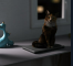 Long Story Short | Complete Walkthrough | Achievements | Scenes | Images