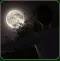 Having a HARD Time | Complete Guide | Achievements | Scenes | Secrets