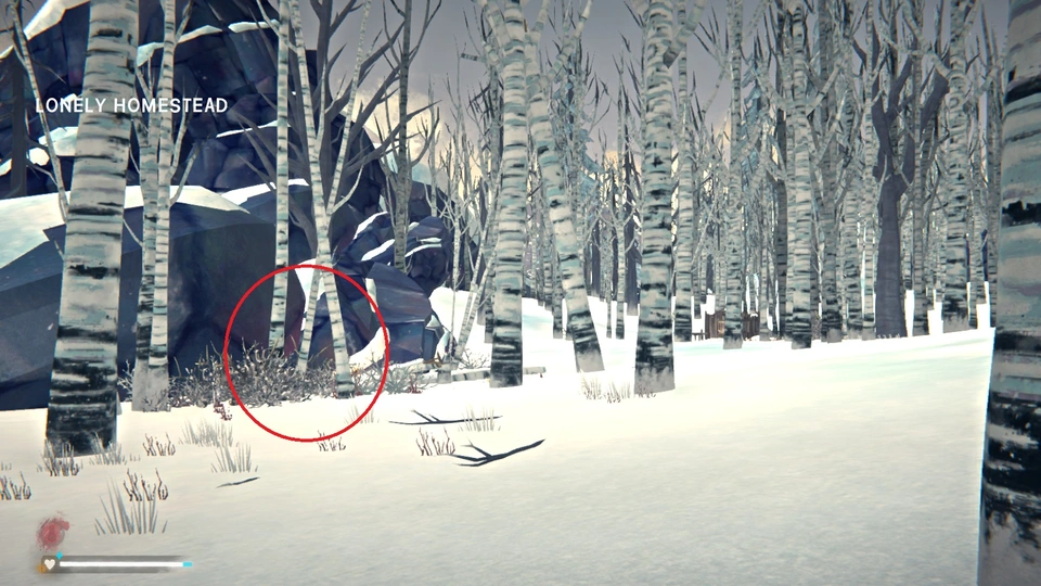 The Long Dark: Coming Storm Walkthrough
