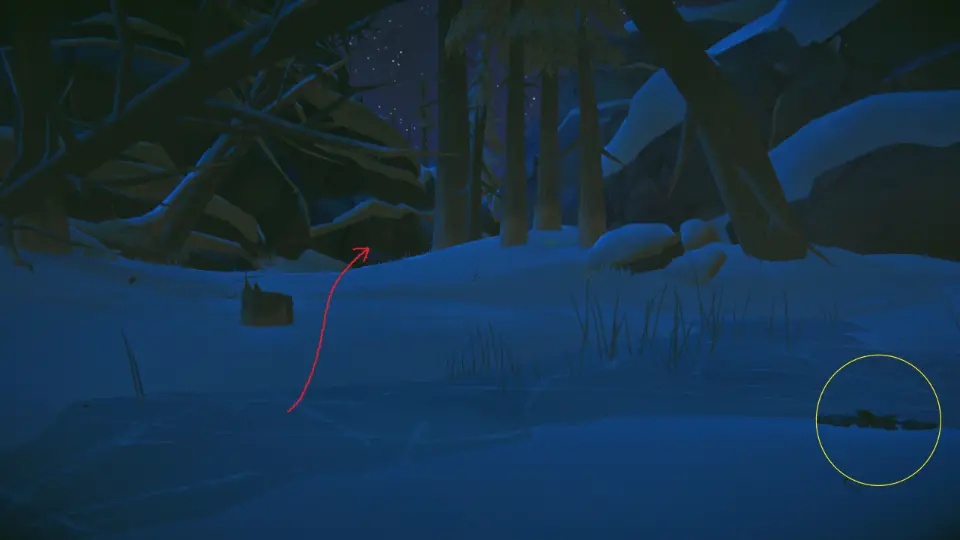 The Long Dark: The Crash Walkthrough