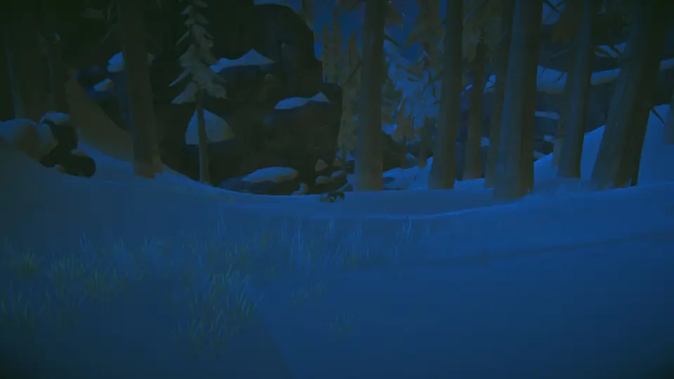 The Long Dark: The Crash Walkthrough