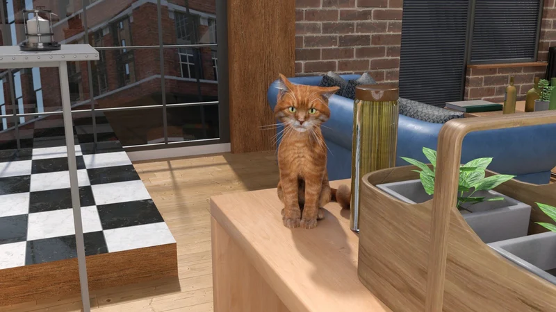 My Dorm Season 1: Walkthrough Guide