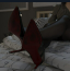 City Lights Love Bites S1: Walkthrough Guide City Lights Love Bites S1: Walkthrough Guide